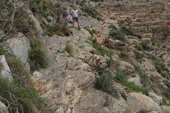 IMG_20250315_120422-scaled